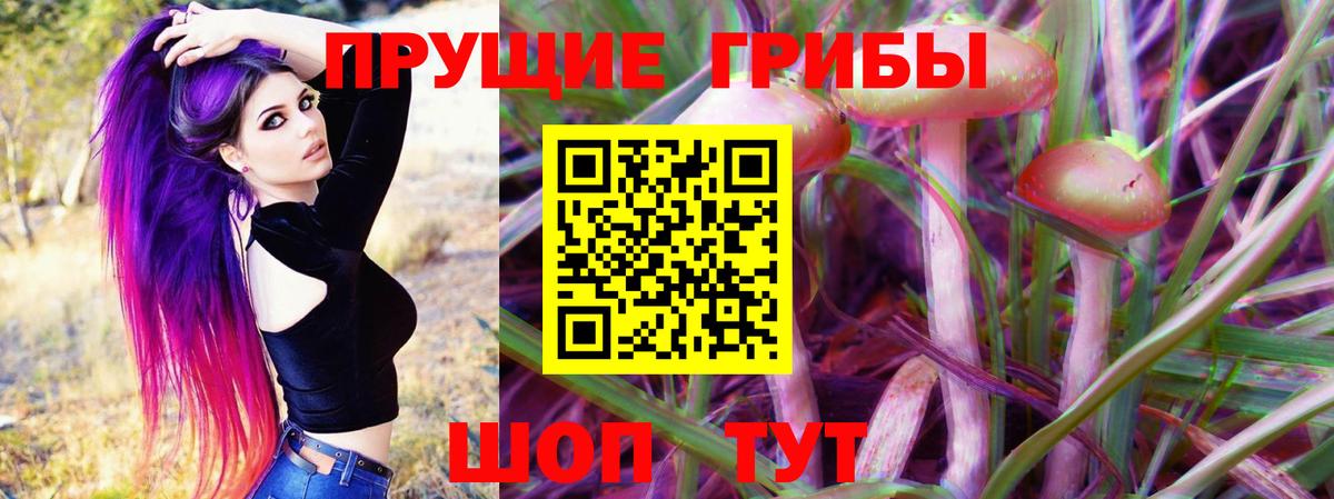 Псилоцибиновые грибы мухоморы  наркота  Сальск  Псилоцибиновые грибы MAGIC MUSHROOMS  Вход с VPN 