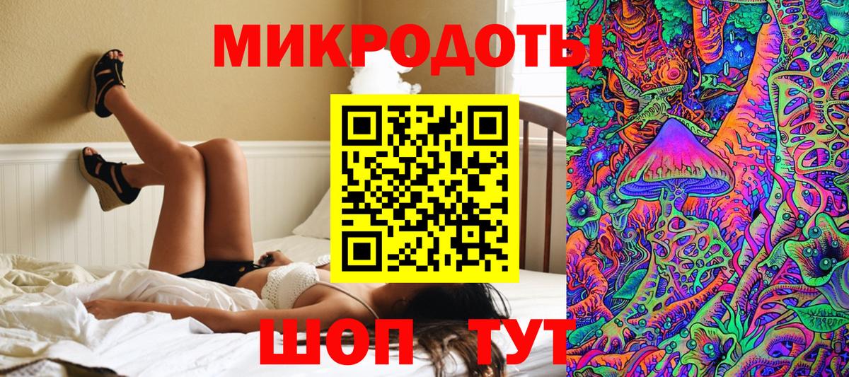 Галлюциногенные грибы Psilocybine cubensis Сальск